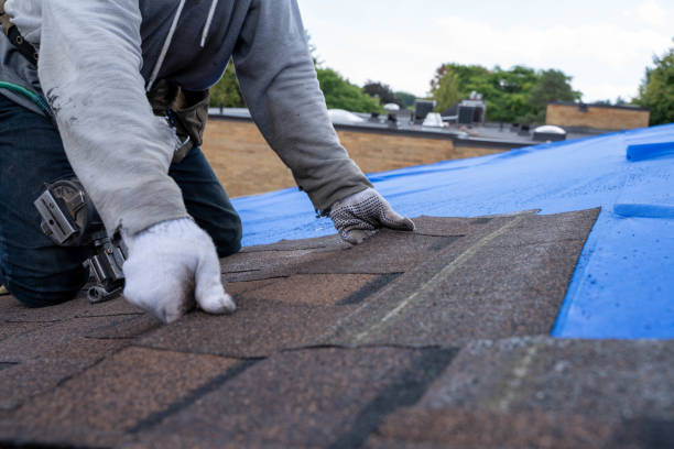 Best Roof Repair Services  in Amboy, WA